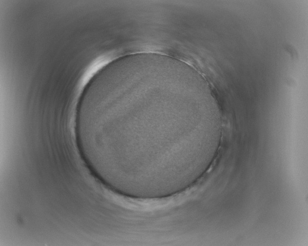 X0000115320006200911231400