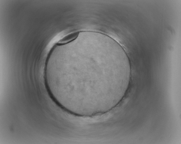 X0000115320007200911231400