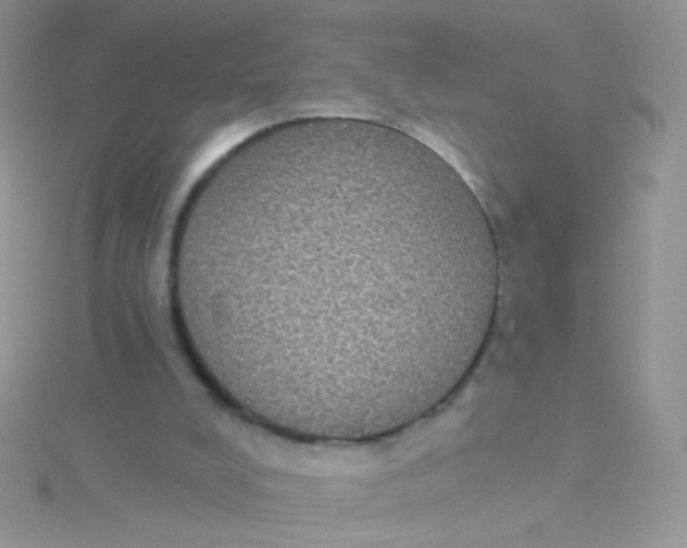 X0000115320008200911231400