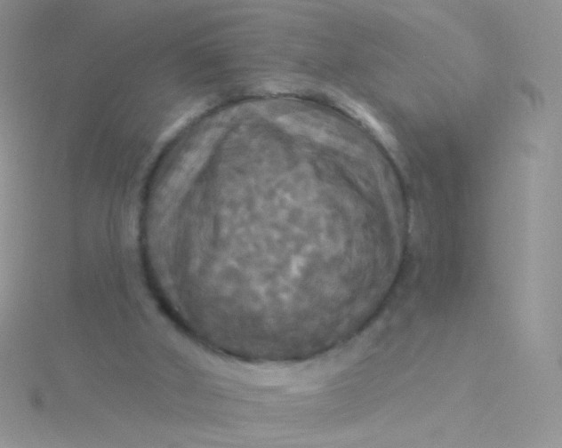 X0000115320010200911231400