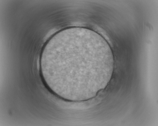 X0000115320011200911231400