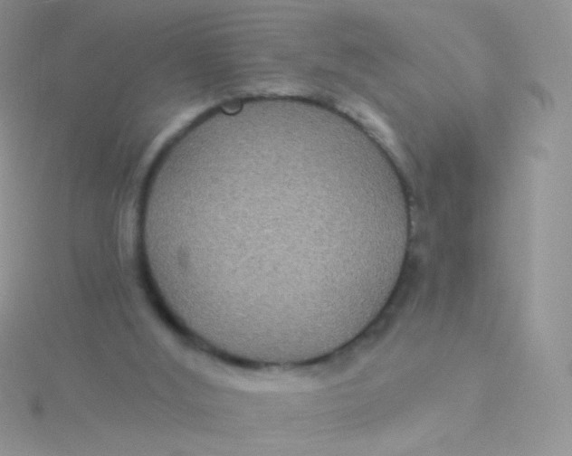 X0000115320012200911231400