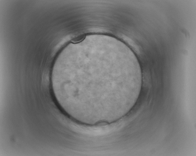 X0000115320015200911231400