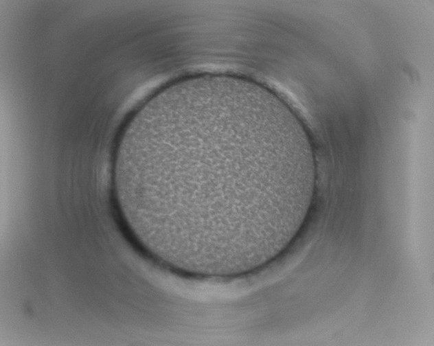 X0000115320016200911231400