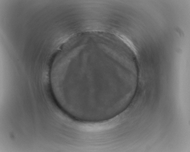 X0000115320017200911231400