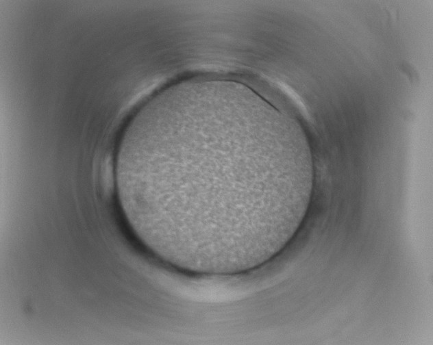 X0000115320020200911231400