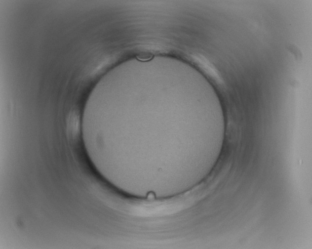 X0000115320021200911231400