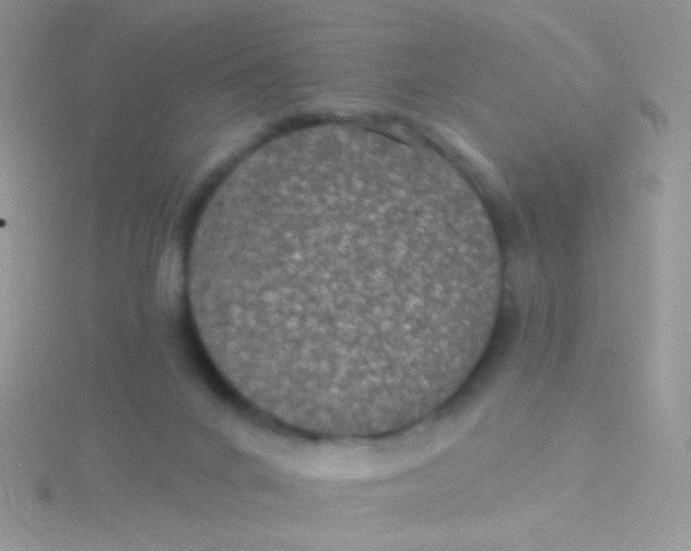 X0000115320024200911231400