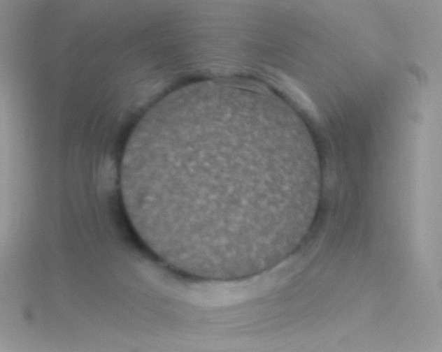 X0000115320025200911231400