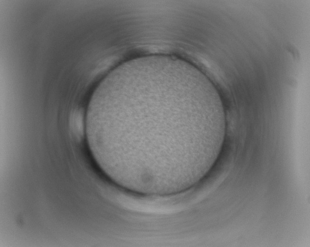 X0000115320028200911231400