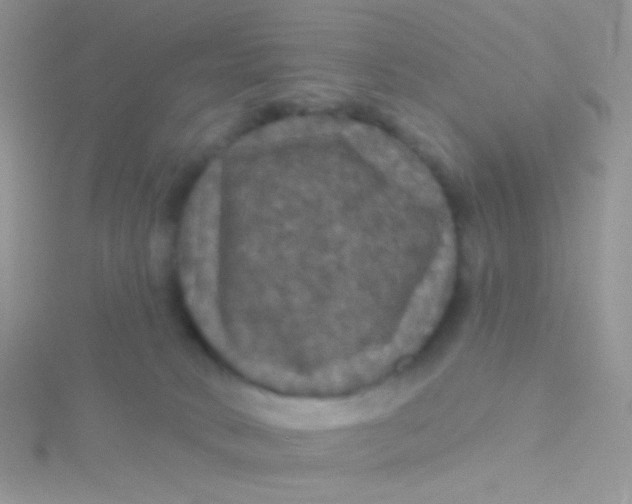 X0000115320034200911231400