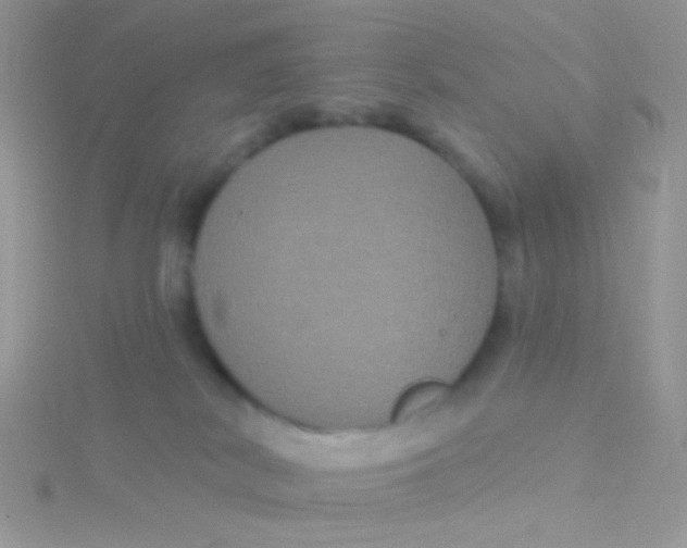 X0000115320038200911231400