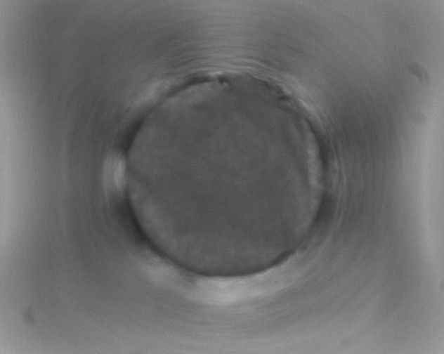 X0000115320041200911231400