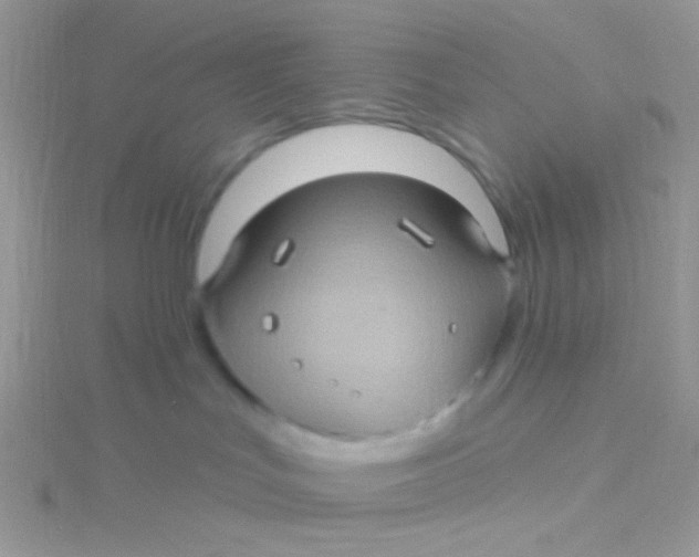 X0000115320047200911231400