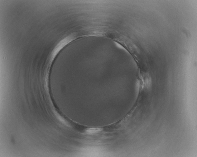 X0000115320051200911231359