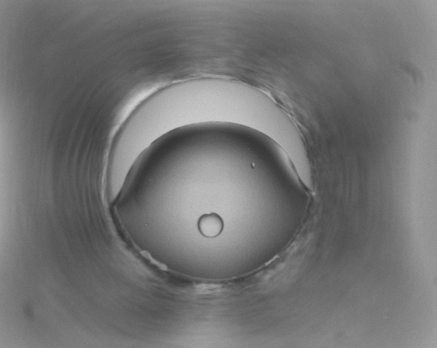 X0000115320052200911231359