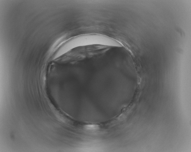 X0000115320053200911231359