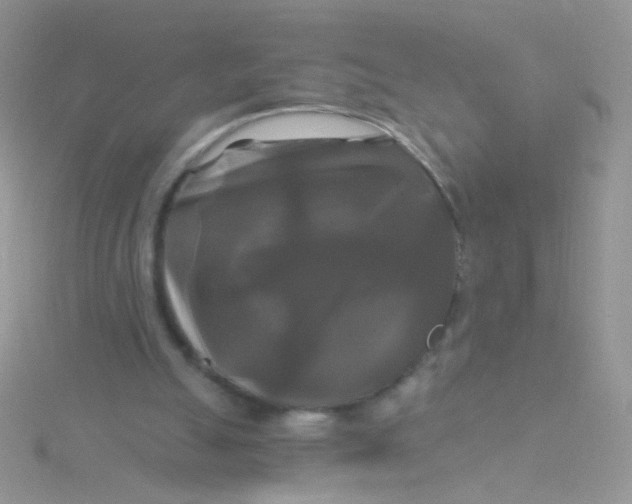 X0000115320055200911231359