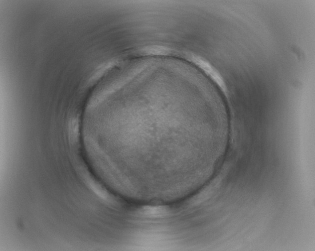 X0000115320057200911231359