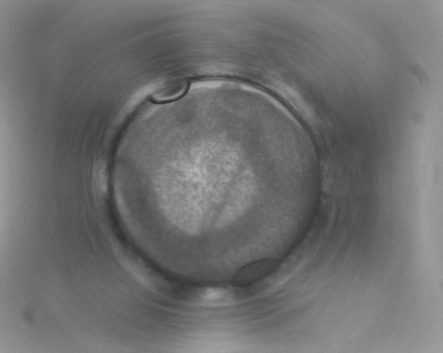 X0000115320060200911231359