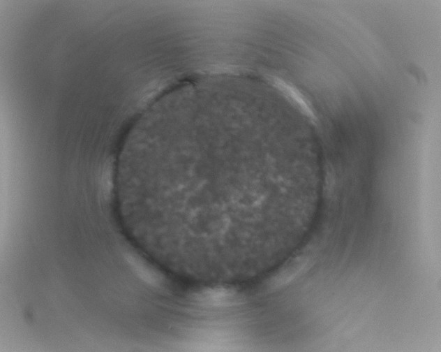 X0000115320065200911231359