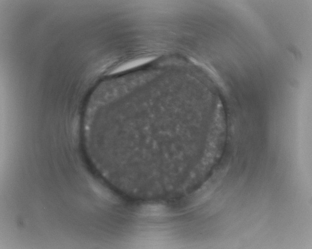 X0000115320066200911231359