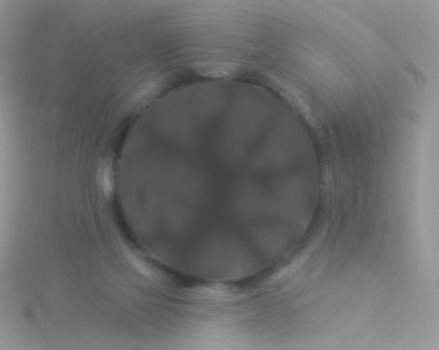 X0000115320069200911231359