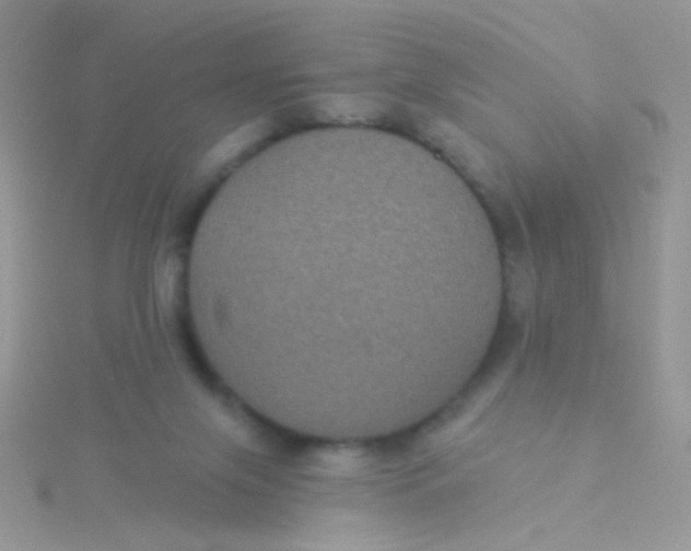 X0000115320071200911231359