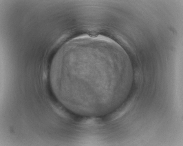 X0000115320072200911231359