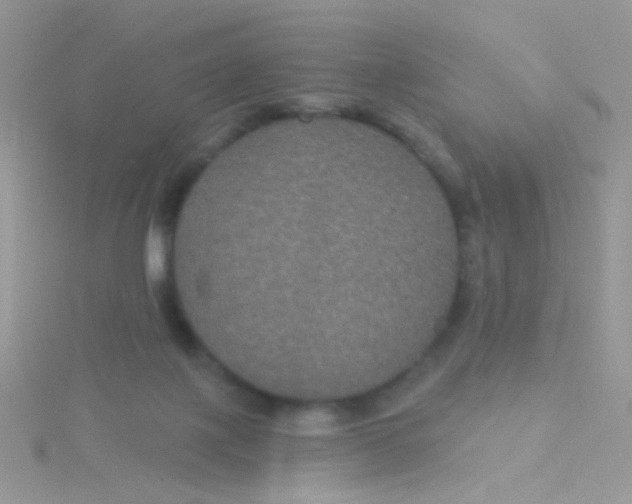 X0000115320075200911231359