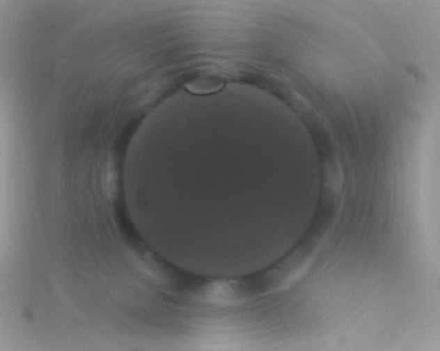 X0000115320080200911231359