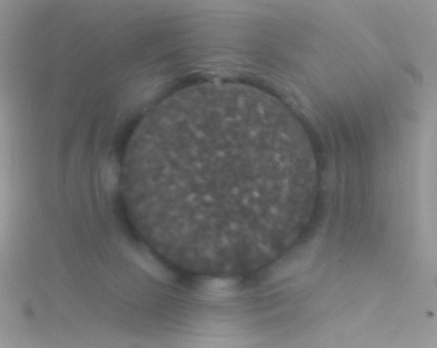 X0000115320081200911231359