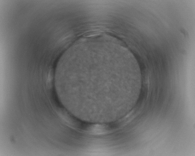 X0000115320082200911231359