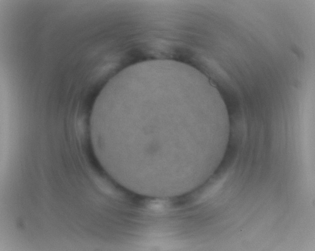 X0000115320088200911231359