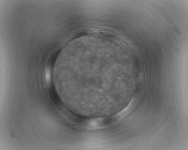 X0000115320094200911231400