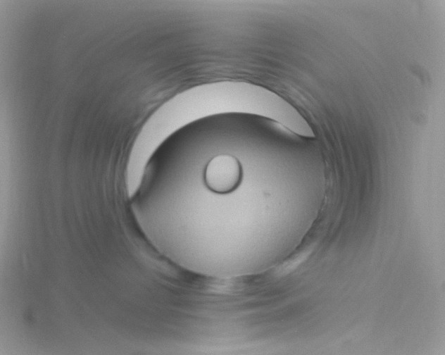 X0000115320096200911231400