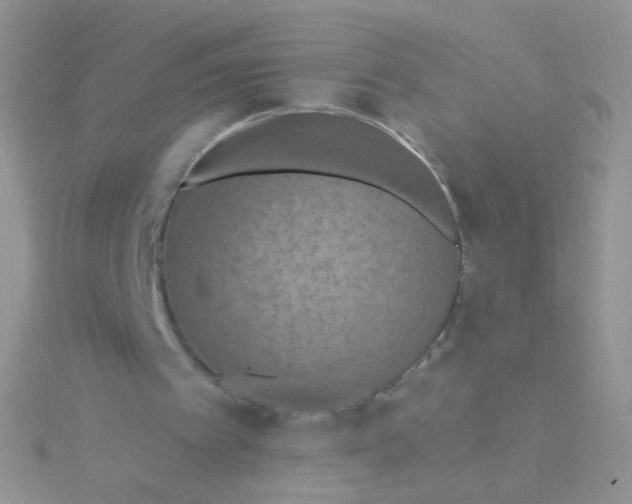 X0000115320097200911231359