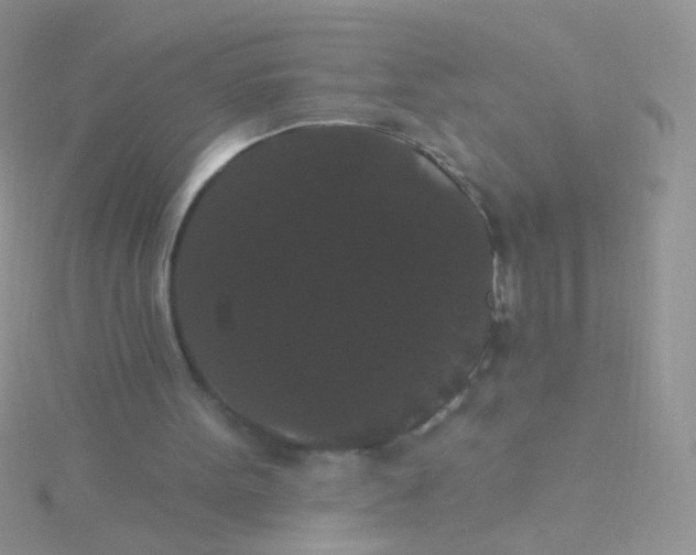 X0000115320099200911231359