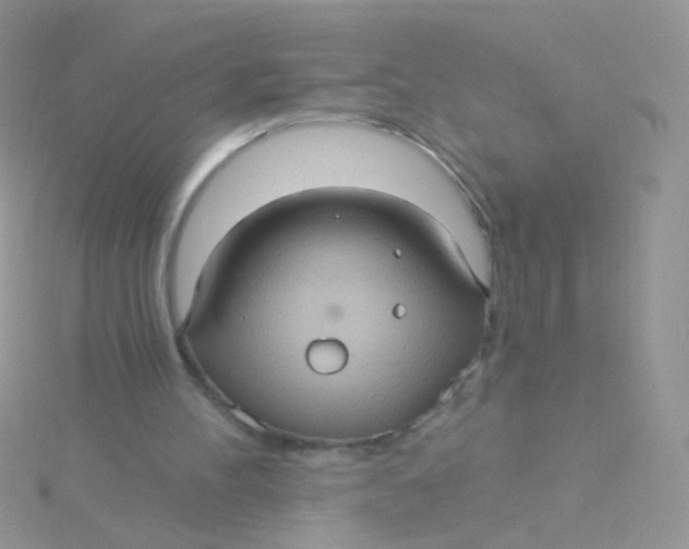 X0000115320100200911231359