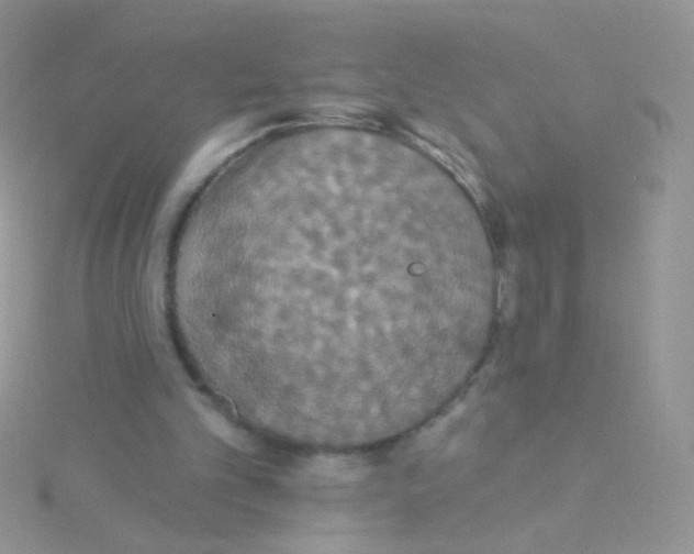 X0000115320101200911231359