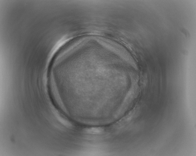 X0000115320102200911231359