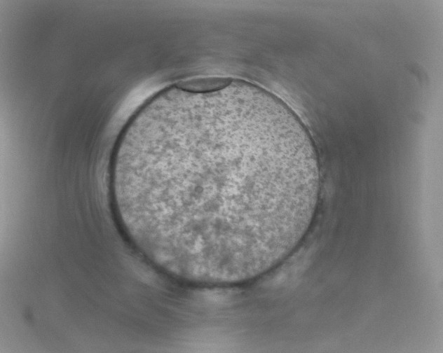 X0000115320103200911231359