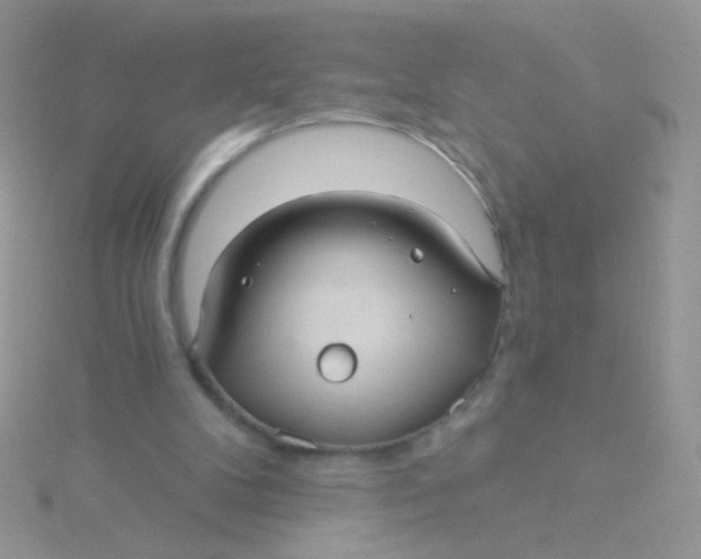 X0000115320104200911231359