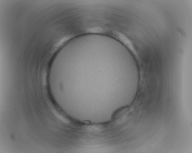 X0000115320106200911231359