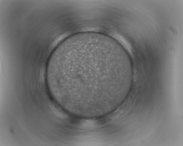 X0000115320107200911231359