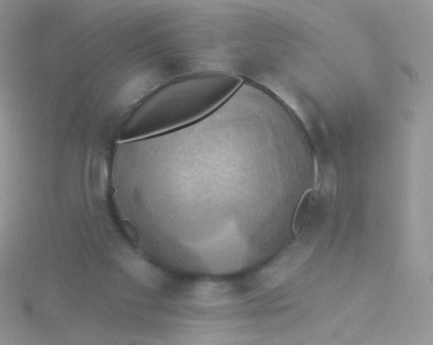 X0000115320109200911231359