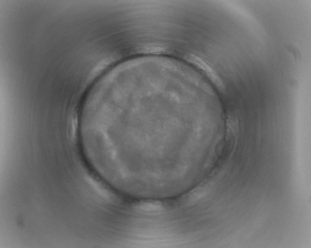 X0000115320110200911231359