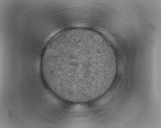 X0000115320111200911231359