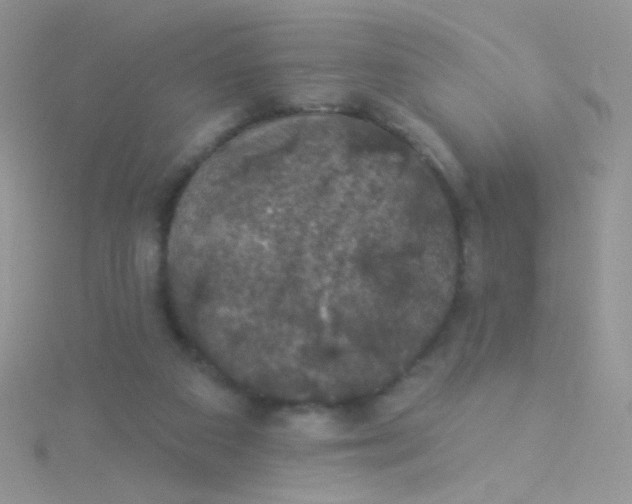 X0000115320113200911231359