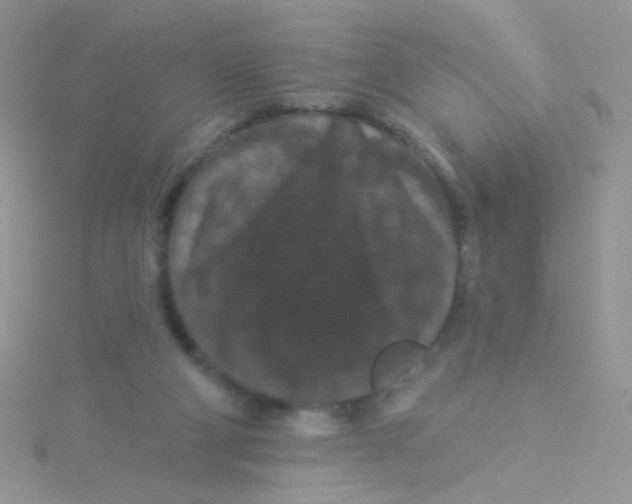 X0000115320114200911231359